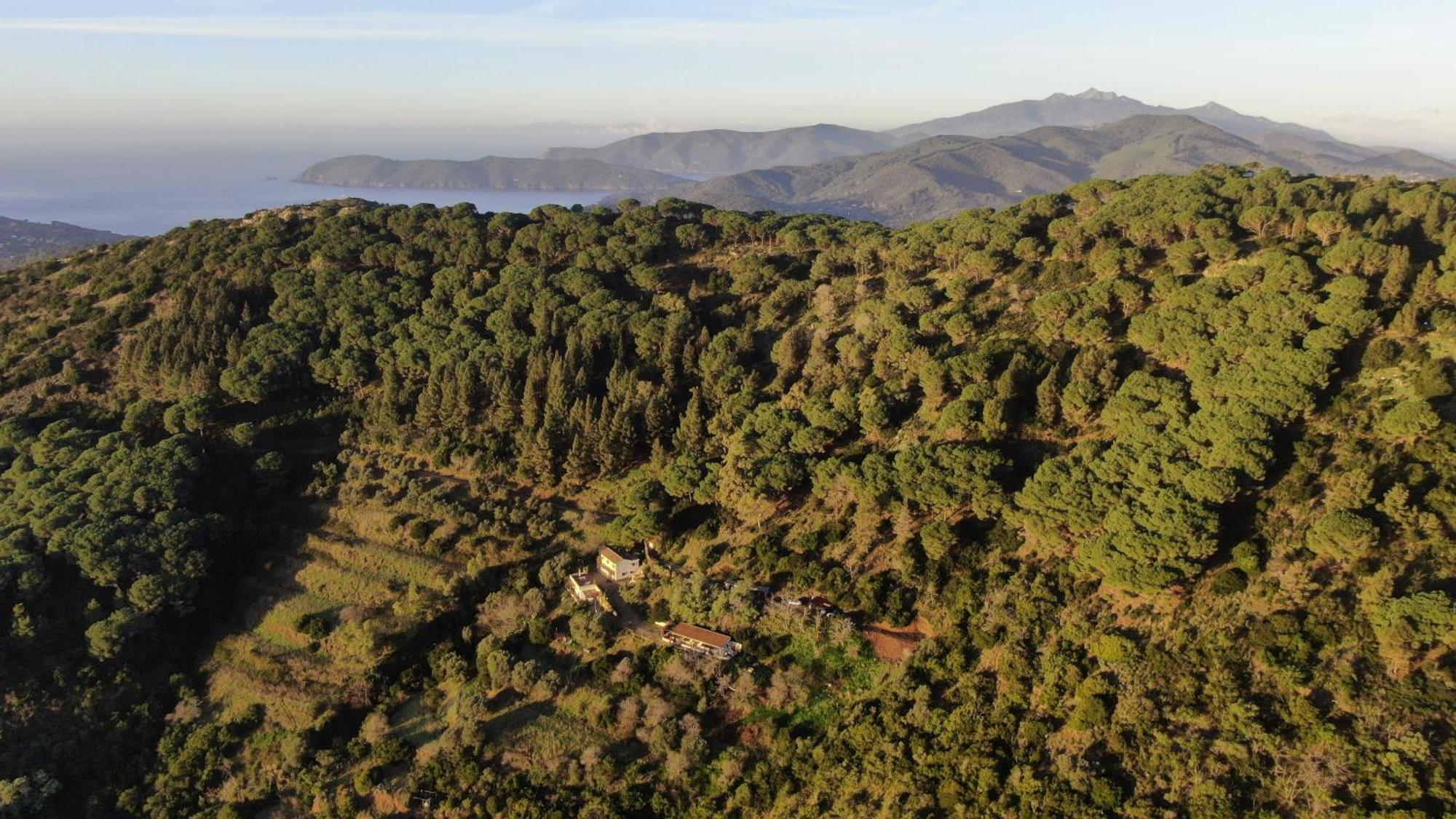 Aria Di Collina - Isola D'Elba Porto Azzurro Exterior foto