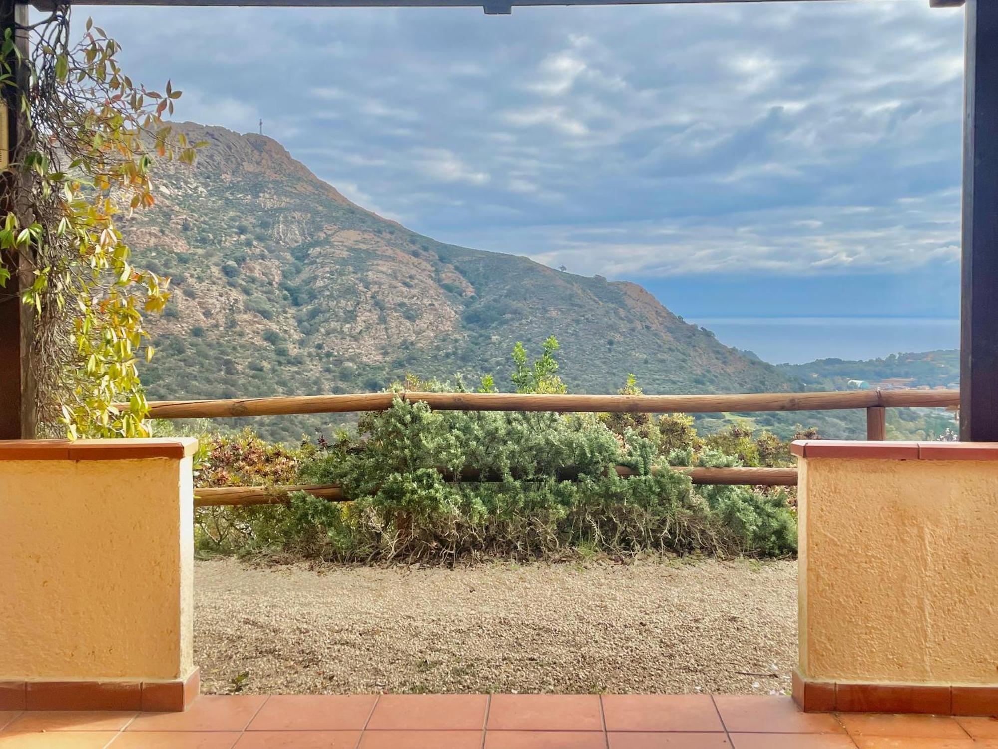 Aria Di Collina - Isola D'Elba Porto Azzurro Quarto foto