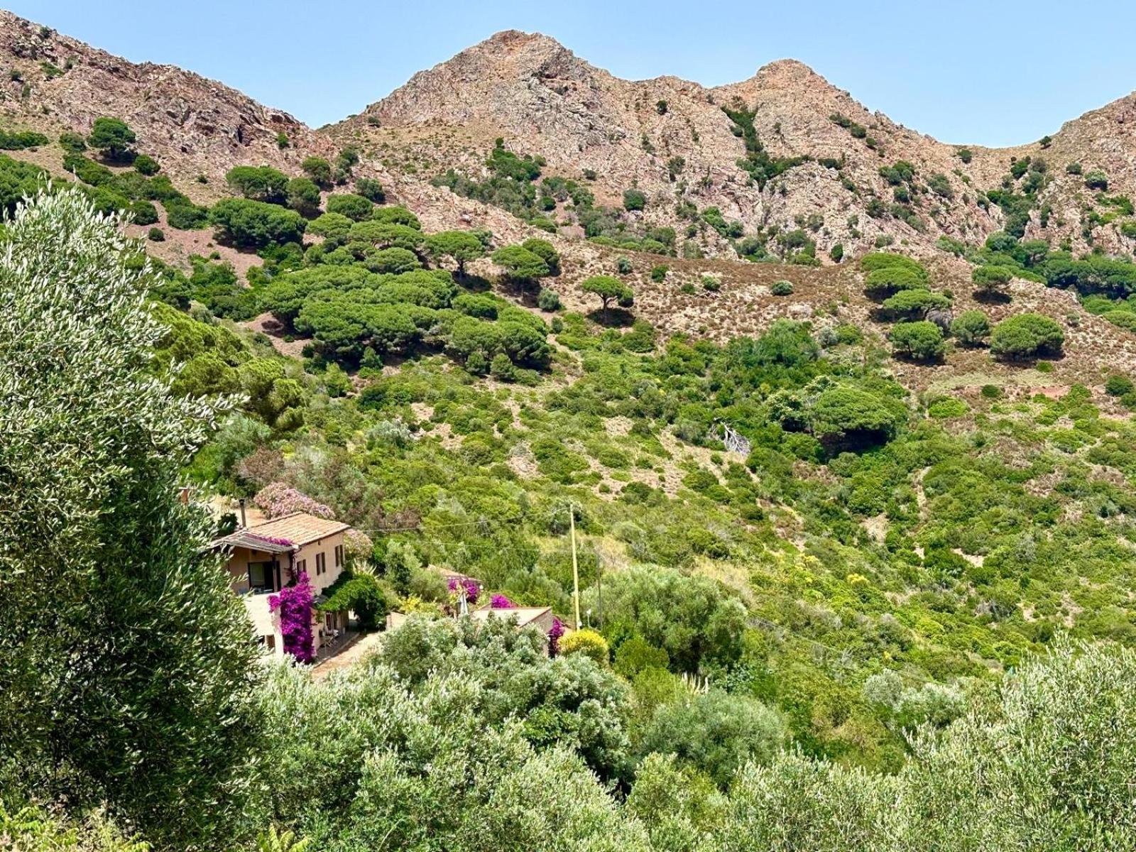 Aria Di Collina - Isola D'Elba Porto Azzurro Exterior foto